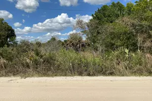 19025 NW 272nd St, Okeechobee, FL 34972 - Photo 1