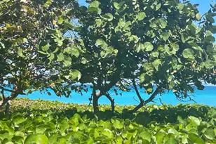 4409 N Fairway Dr Dr N, Jupiter, FL 33477 - Photo 38