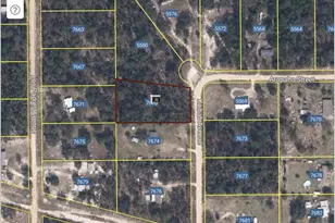 7670 Kaibab Ave, Keystone Heights, FL 32656 - Photo 1