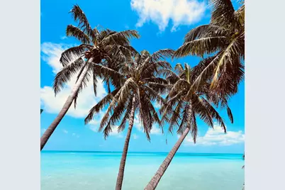 101 11th Street Ocean #24, Marathon, FL 33050 - Photo 44