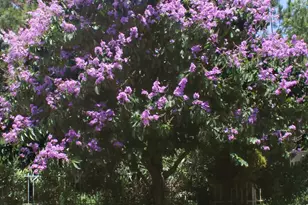 5263 SE Sweetbrier Terrace, Hobe Sound, FL 33455 - Photo 28