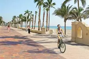 315 Van Buren St, Hollywood, FL 33019 - Photo 12