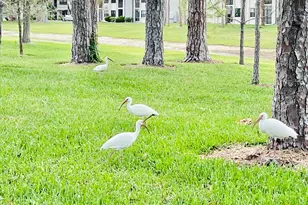 4725 E Lucerne Lakes Blvd Blvd E, Lake Worth, FL 33467 - Photo 28