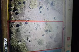 20224 NW 282nd St, Okeechobee, FL 34972 - Photo 1