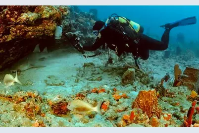 3481 Amberjack Road, Lantana, FL 33462 - Photo 36