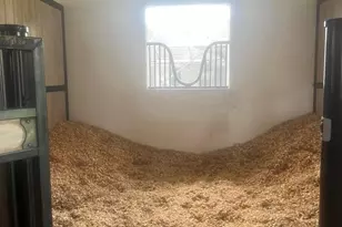 14322 Drafthorse Ln, Wellington, FL 33414 - Photo 4