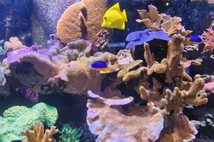 2538 SE Price Ct, Port Saint Lucie, FL 34984 - Photo 48