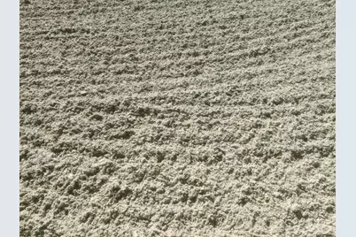 13161 Casey Road #- Barn -, Loxahatchee Groves, FL 33470 - Photo 26