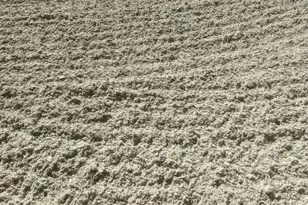 13161 Casey Rd, Loxahatchee Groves, FL 33470 - Photo 26