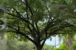 8343 Lake Dr, Doral, FL 33166 - Photo 12