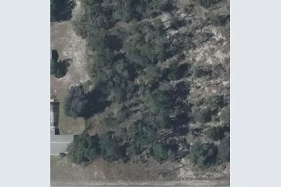 Tbd SW Zinnia Court, Dunnellon, FL 34431 - Photo 1