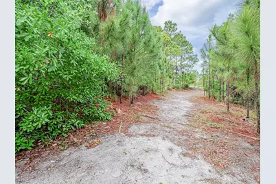 116 Dahl Avenue, Sebastian, FL 32958 - Photo 6