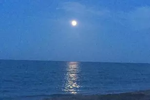 8323 SE Croft Cir, Hobe Sound, FL 33455 - Photo 62