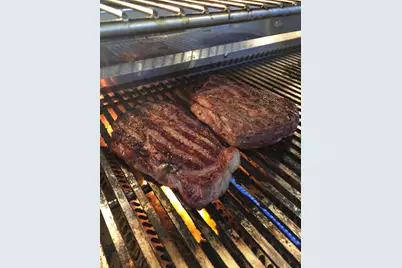 15925 Springhill Court, Wellington, FL 33414 - Photo 54