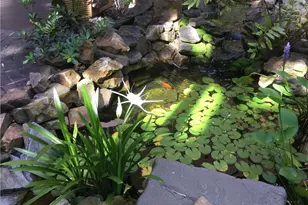 1357 NE Ocean Blvd, Stuart, FL 34996 - Photo 30