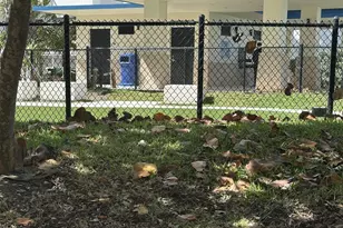 2600 S Ocean Dr, Hollywood, FL 33019 - Photo 30