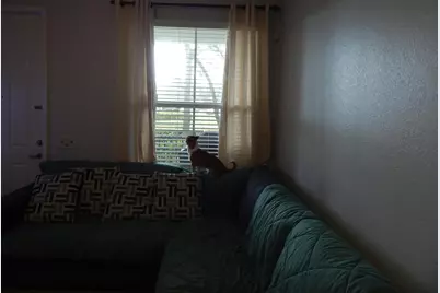 4720 Mimosa Place #909, Coconut Creek, FL 33073 - Photo 50