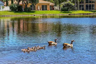 18910 Sweet Pepper Ct, Jupiter, FL 33458 - Photo 52