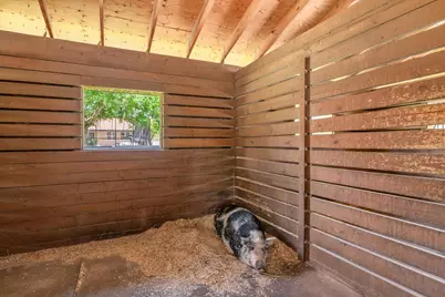 2559 Palm Deer Drive, Loxahatchee, FL 33470 - Photo 68