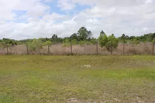 15367 NW 296th St, Okeechobee, FL 34972 - Photo 6