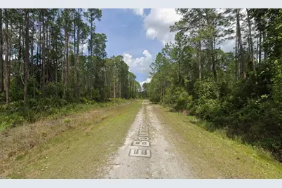 141 E Boundary Drive, Georgetown, FL 32139 - Photo 2