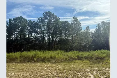 Tbd 135th St Road, Ocala, FL 34473 - Photo 1