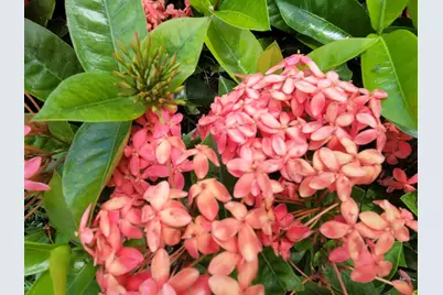 1650 N 42nd Circle #206, Vero Beach, FL 32967 - Photo 50