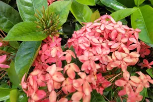 1650 N 42ND Cir, Vero Beach, FL 32967 - Photo 50