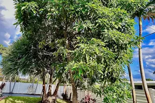 5408 Jackson St, Hollywood, FL 33021 - Photo 38