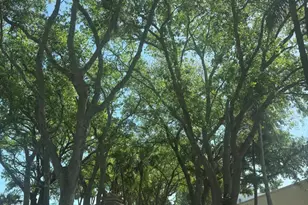 1720 W Sanderling Ln, Fort Pierce, FL 34982 - Photo 34