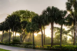 6797 Willow Wood Dr, Boca Raton, FL 33434 - Photo 68