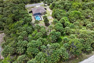 831 SW Owl St St, Palm Bay, FL 32908 - Photo 8