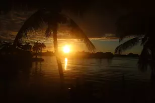 3216 SE 12th St, Pompano Beach, FL 33062 - Photo 42