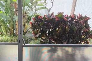 2050 NE 39th Street NE, Lighthouse Point, FL 33064 - Photo 32