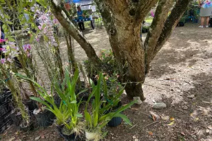 6220 Kelty Way, Lake Worth, FL 33467 - Photo 72