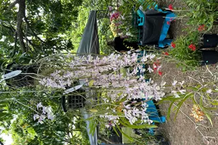 6220 Kelty Way, Lake Worth, FL 33467 - Photo 76