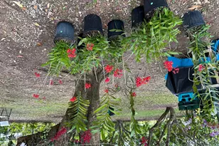 6220 Kelty Way, Lake Worth, FL 33467 - Photo 78