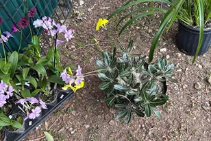 6220 Kelty Way, Lake Worth, FL 33467 - Photo 80