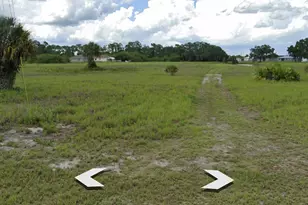 3035 NW Beechwood Circle NW, Labelle, FL 33935 - Photo 4