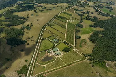 0 Dooley Grade Road, Clewiston, FL 33440 - Photo 12