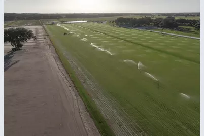 0000 Hill Grade Road, Clewiston, FL 33440 - Photo 6