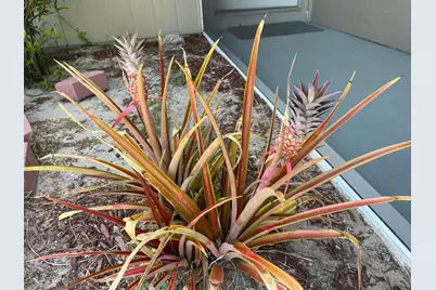 1150 SW Jumper Street, Port Saint Lucie, FL 34983 - Photo 32