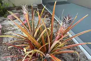 1150 SW Jumper St, Port Saint Lucie, FL 34983 - Photo 32