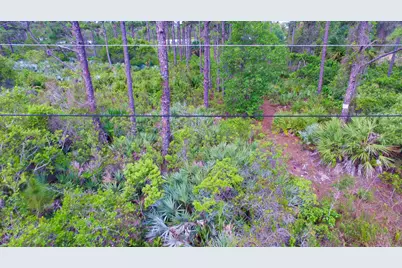 00 Bald Cypress Trail, Fort Pierce, FL 34951 - Photo 6