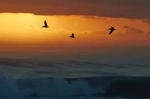 210 Horizon St E, Boynton Beach, FL 33435 - Photo 42