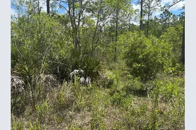 0 Holopaw Groves Road, Saint Cloud, FL 34772 - Photo 2