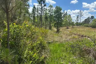 0 Holopaw Groves Rd, Saint Cloud, FL 34772 - Photo 1