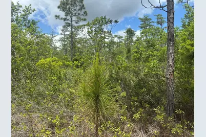 0 Holopaw Groves Road, Saint Cloud, FL 34772 - Photo 2