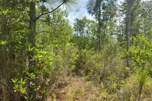 0 Holopaw Groves Rd, Saint Cloud, FL 34772 - Photo 1