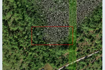 0 Holopaw Groves Road, Saint Cloud, FL 34772 - Photo 1
